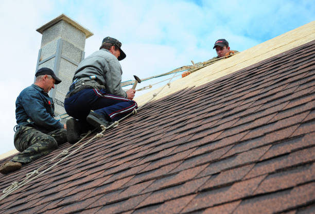 Best Roof Maintenance Services  in Highspire, PA
